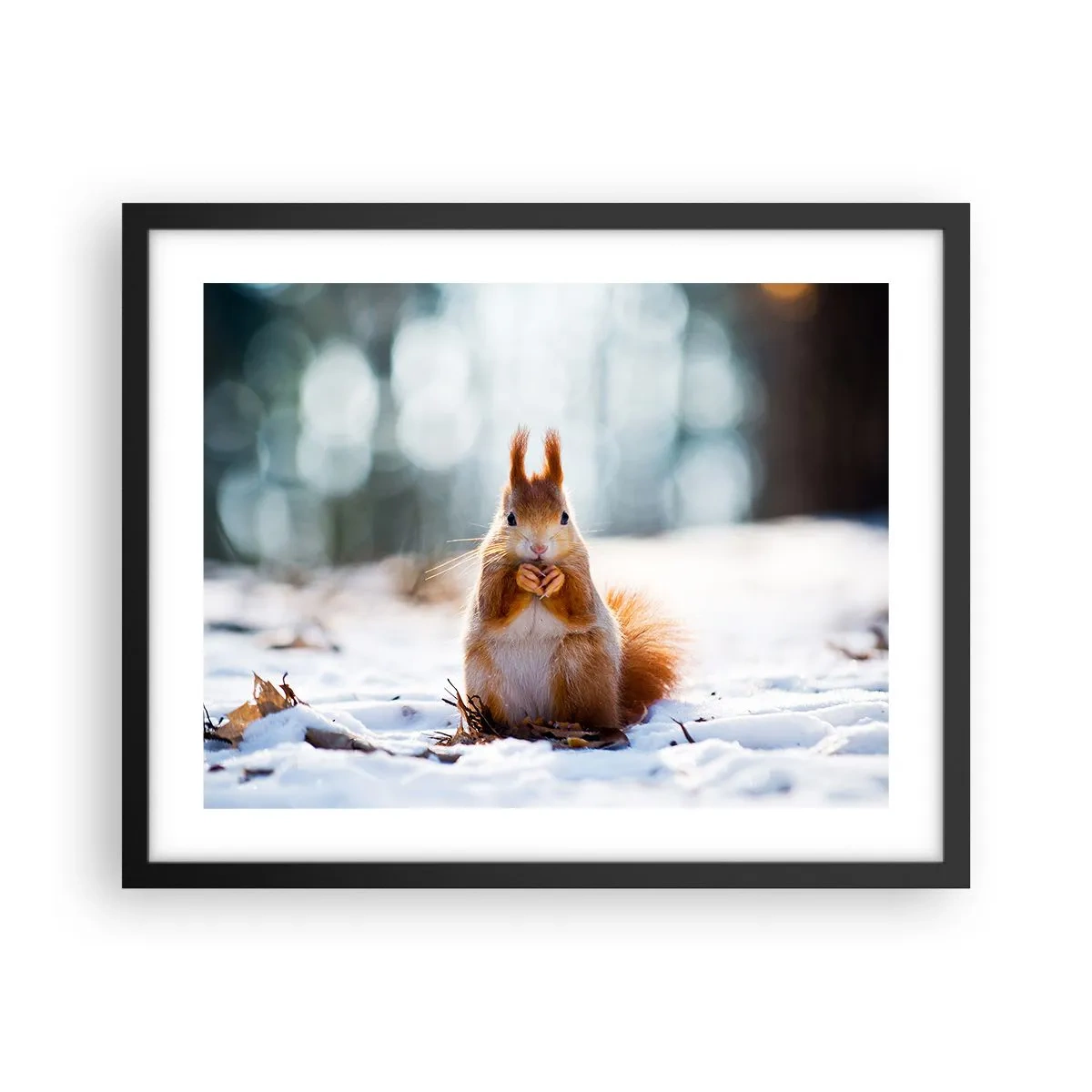 Póster en marco negro - ¿Qué estás mirando? - 50x40 cm