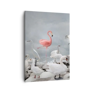 Cuadro sobre lienzo - Impresión de Imagen - Un flamenco rosado entre cisnes blancos con el fondo de un lago. - 50x70cm - ¿De dónde vengo? - Decoración de pared moderna para salón y dormitorio ARTTOR