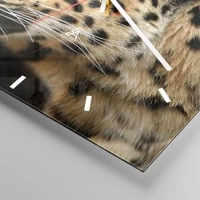 Esfera sin numeración, con rayas