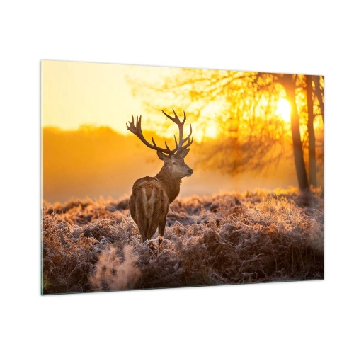 Cuadro sobre vidrio - Impresiones sobre Vidrio - Ciervos bajo los rayos del sol naciente - 100x70cm - Rey del bosque de otoño - Decoración de pared moderna para salón y dormitorio ARTTOR