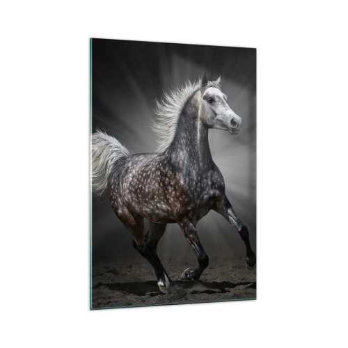 Cuadro sobre vidrio - Impresiones sobre Vidrio - Un caballo blanco galopando sobre un fondo oscuro. - 70x100cm - El gris es hermoso - Decoración de pared moderna para salón y dormitorio ARTTOR