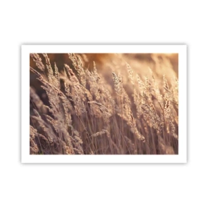 Póster - Listos para dar la bienvenida al otoño - 70x50 cm