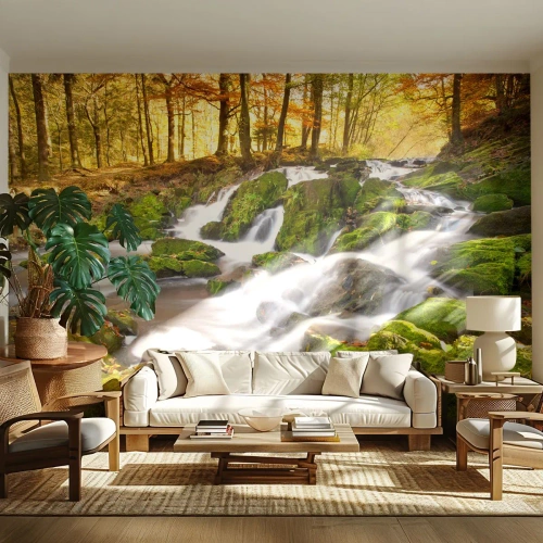 Fotomural Premium Sand - Atravesando el bosque otoñal - Paisaje, Bosque, Arroyo de montaña - 450x315 cm