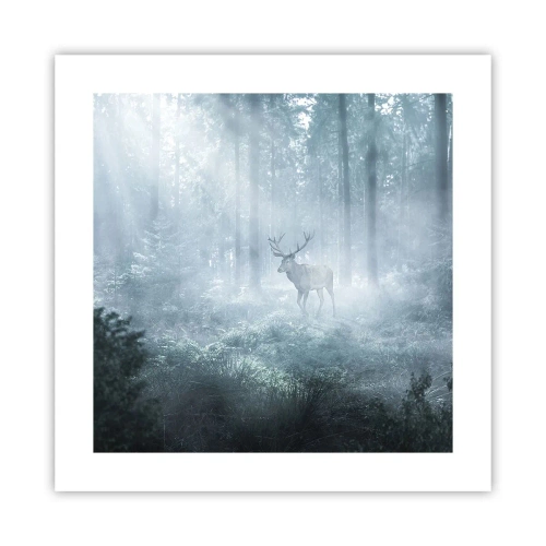 Póster - Ronda matutina por la finca - 40x40 cm