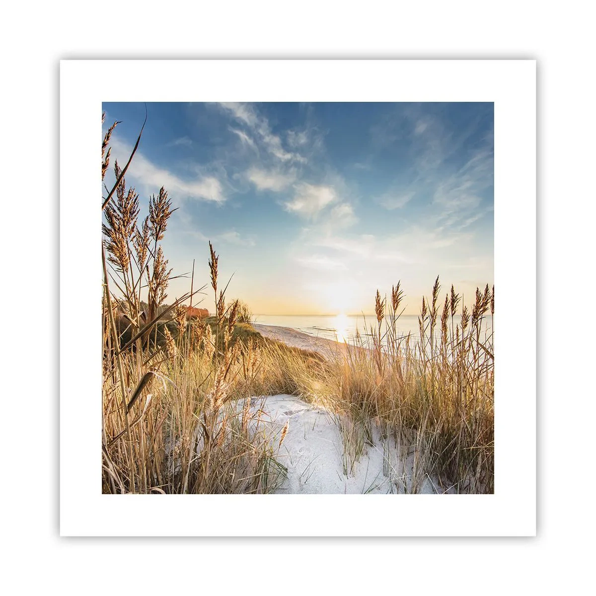 Póster - Playa del norte - 40x40 cm