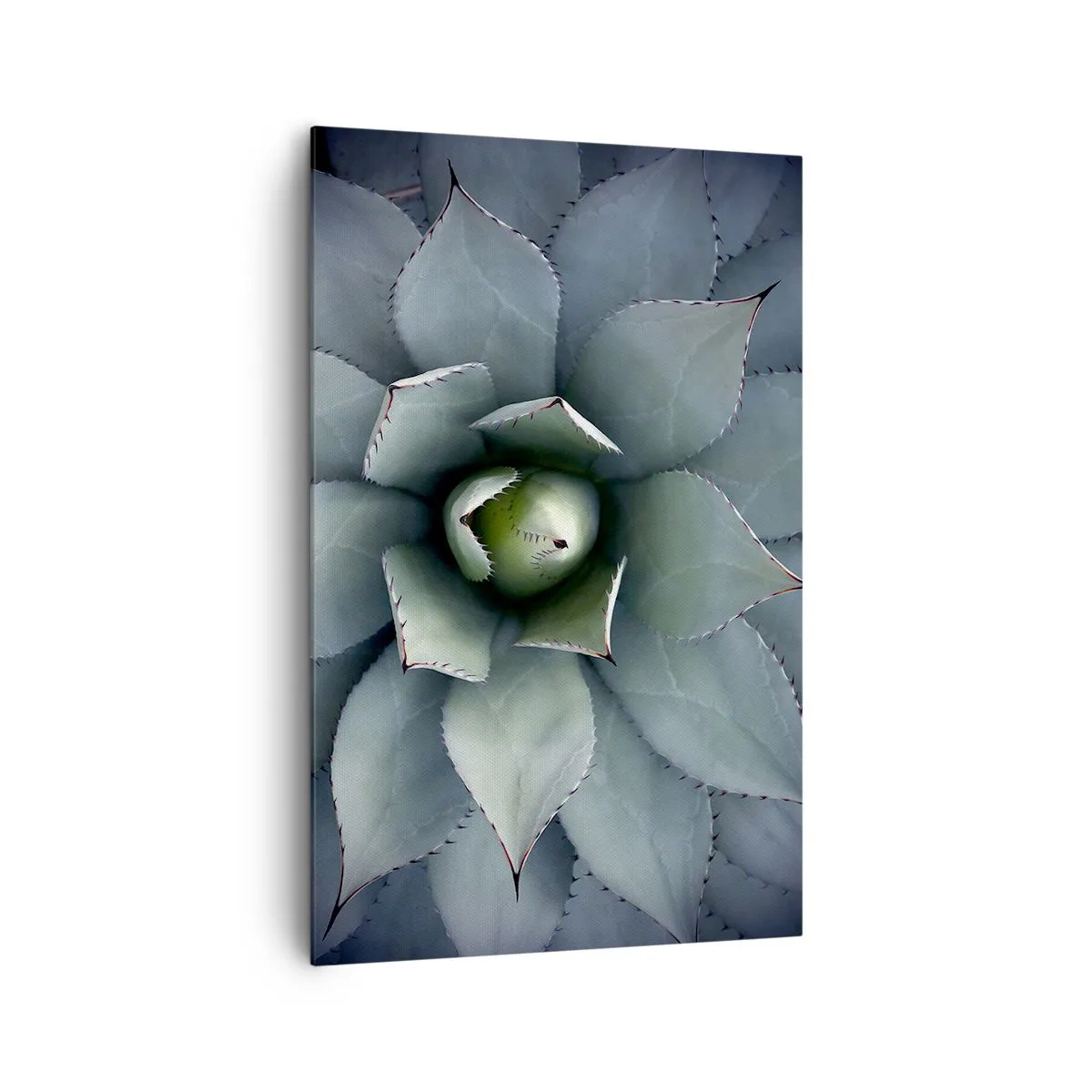 Cuadro sobre lienzo - Impresión de Imagen - Primer plano de una roseta de agave en delicados tonos verdes. - 80x120cm - Perfección natural - Decoración de pared moderna para salón y dormitorio ARTTOR