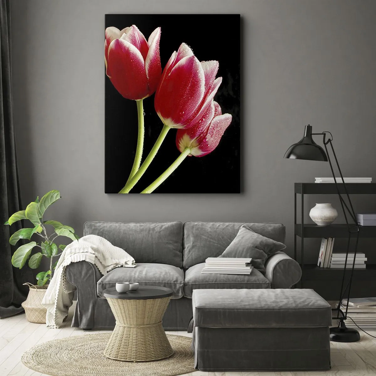 Cuadro sobre lienzo - Impresión de Imagen - Tulipanes rojos con gotas de rocío sobre un fondo negro - 50x70cm - Promesa de amor puro - Decoración de pared moderna para salón y dormitorio ARTTOR