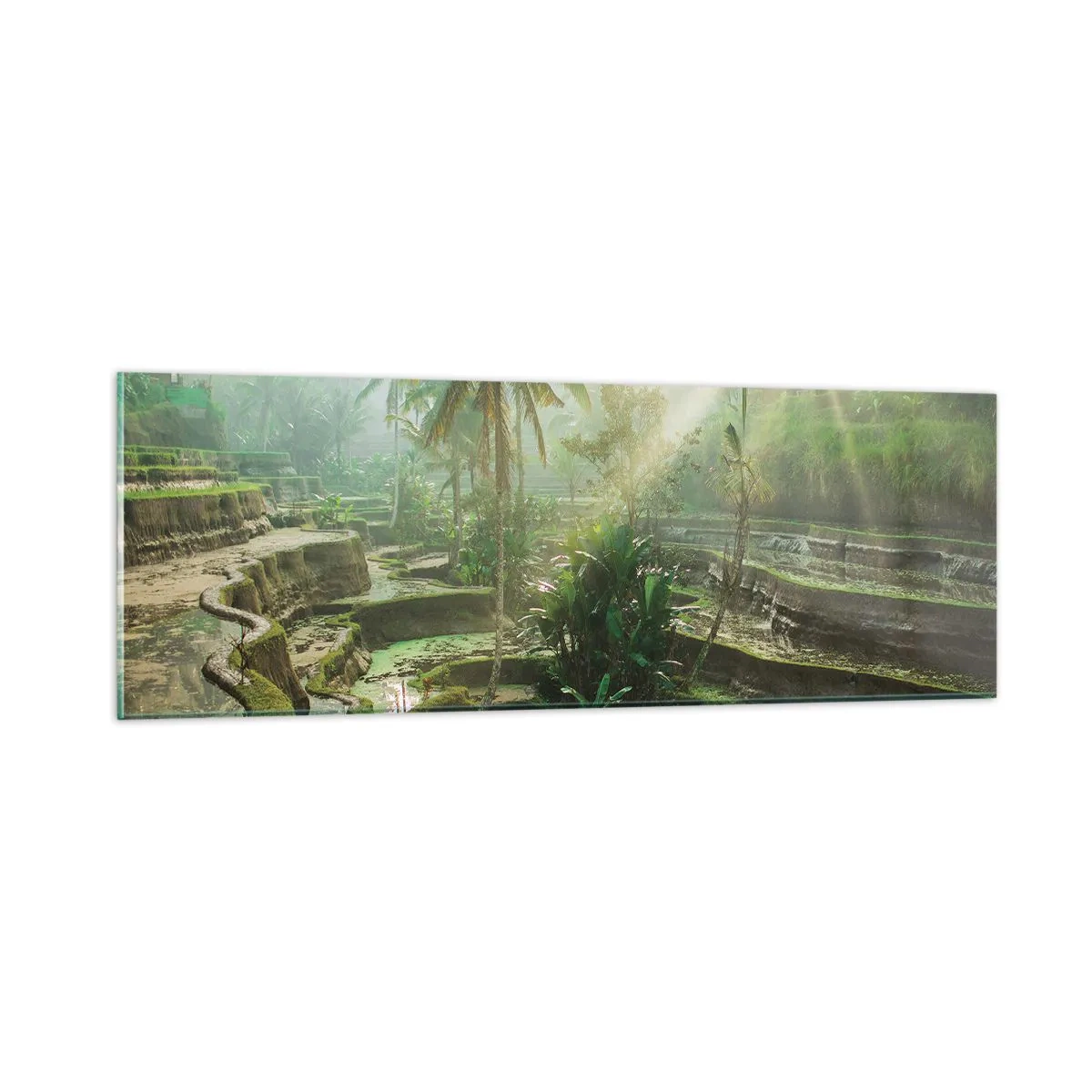 Cuadro sobre vidrio - Impresiones sobre Vidrio - Crecer bajo el sol - 90x30 cm