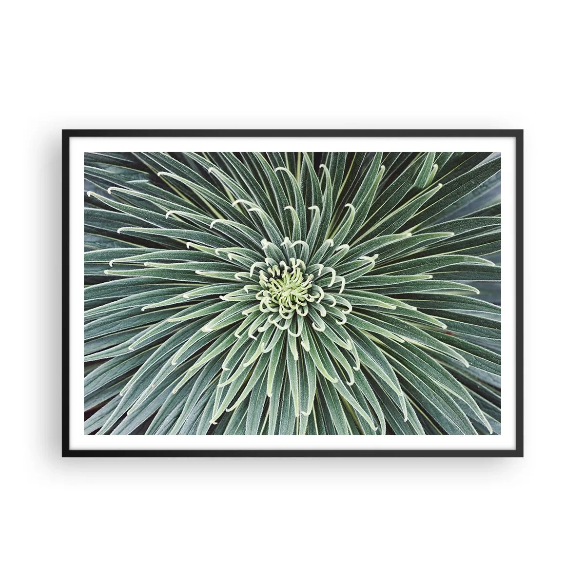Póster en marco negro - Disposición simétrica de hojas verdes que se asemeja a una estrella. - 100x70cm - El nacimiento de una estrella - Decoración de pared moderna para salón y dormitorio ARTTOR