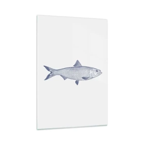 Cuadro sobre vidrio - Impresiones sobre Vidrio - Ilustración de un pez en tonos azules sobre un fondo claro. - 70x100cm - Saludos desde los mares del norte - Decoración de pared moderna para salón y dormitorio ARTTOR