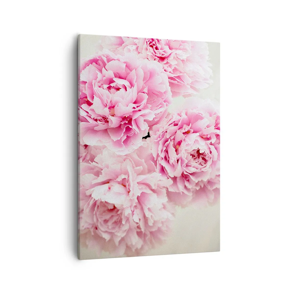 Cuadro sobre lienzo - Impresión de Imagen - Un ramo de peonías rosas sobre un fondo claro. - 50x70cm - En el esplendor del rosa - Decoración de pared moderna para salón y dormitorio ARTTOR
