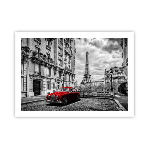 Póster - Un depredador en la ciudad - 70x50 cm