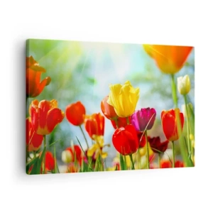 Cuadro sobre lienzo - Impresión de Imagen - Tulipanes coloridos bajo el sol - 70x50cm - Todos los tonos del sol - Decoración de pared moderna para salón y dormitorio ARTTOR