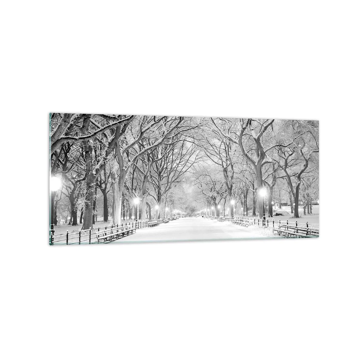 Cuadro sobre vidrio - Impresiones sobre Vidrio - Un callejón invernal con árboles cubiertos de nieve en monocromo. - 120x50cm - Cuatro estaciones - invierno - Decoración de pared moderna para salón y dormitorio ARTTOR