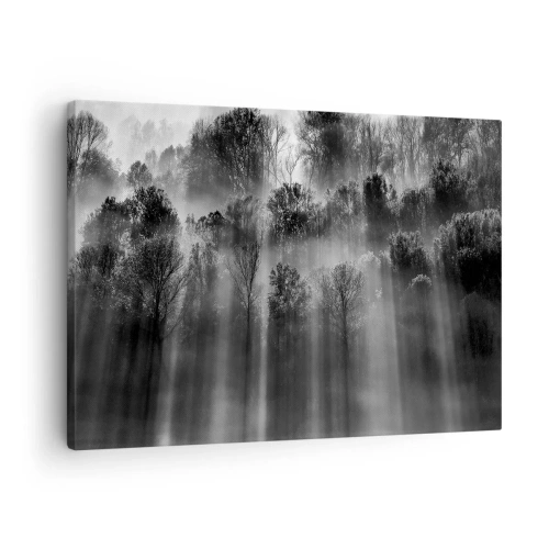 Cuadro sobre lienzo - Impresión de Imagen - En los flujos de luz - 70x50 cm