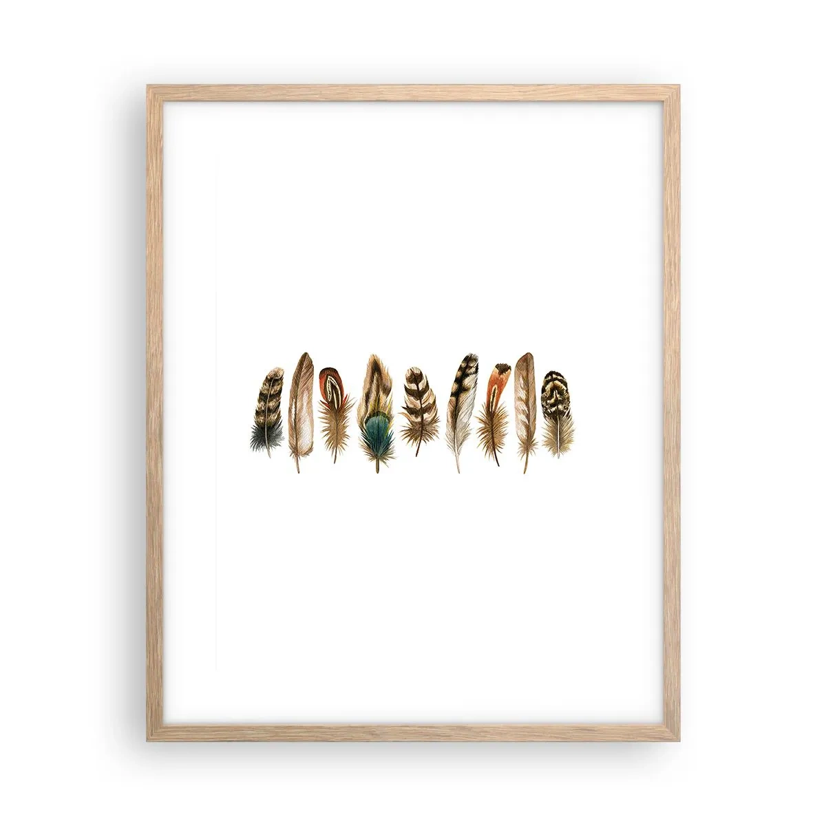 Póster en marco roble claro - Estudio de plumas - 40x50 cm