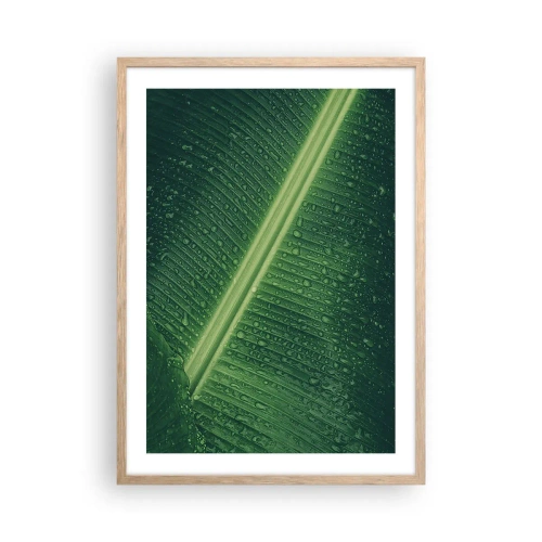 Póster en marco roble claro - Estructura del verde - 50x70 cm