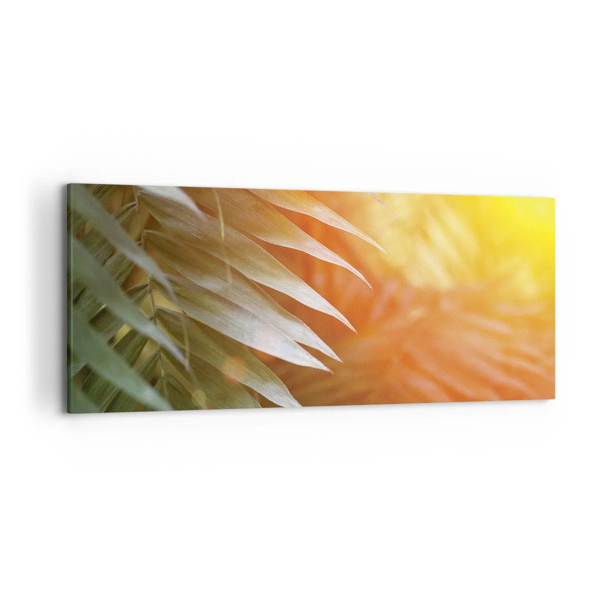Cuadro sobre lienzo - Impresión de Imagen - Hojas de palma en los rayos del atardecer. - 120x50cm - Mañana en la selva - Decoración de pared moderna para salón y dormitorio ARTTOR