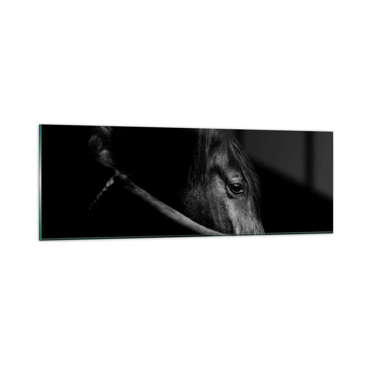 Cuadro sobre vidrio - Impresiones sobre Vidrio - Príncipe negro - 90x30 cm