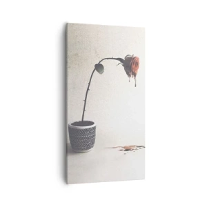 Cuadro sobre lienzo - Impresión de Imagen - Rosa dolorosa - 55x100 cm