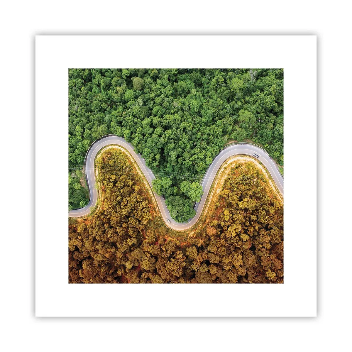 Póster - Frontera serpenteante - 30x30 cm