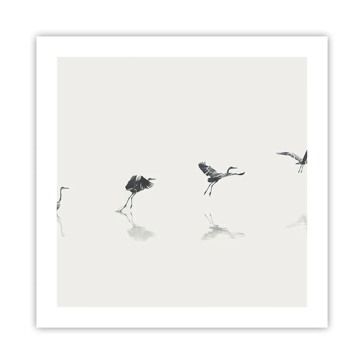 Póster - Cuatro sencillos pasos para despegar - 50x50 cm