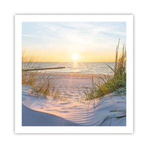 Póster - El sonido del mar, el canto de los pájaros, una playa virgen entre las dunas... - 60x60 cm