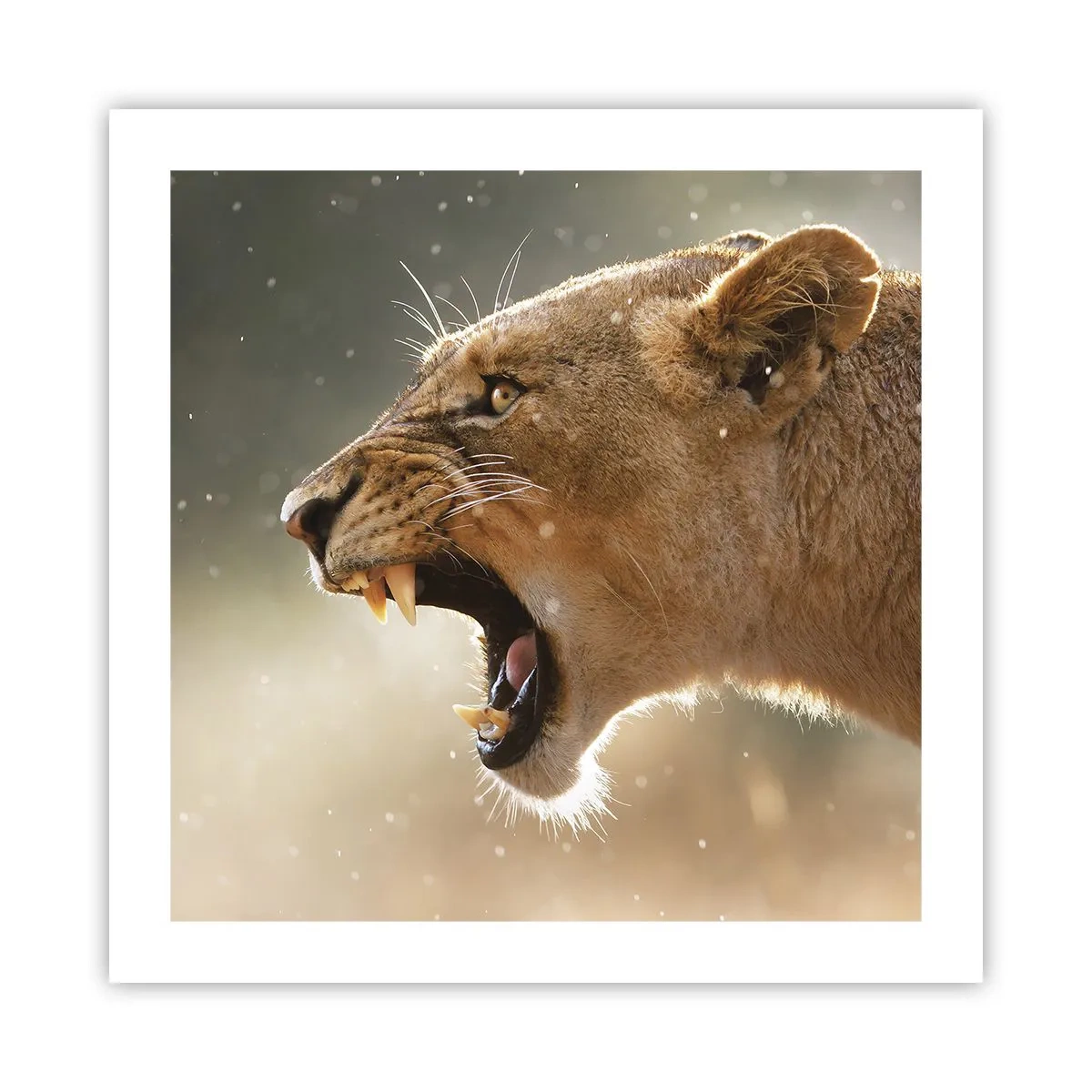 Póster - Silencio, es mi turno de palabra - 50x50 cm