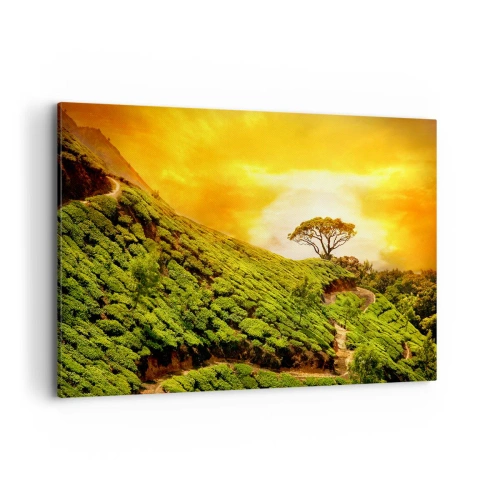 Cuadro sobre lienzo - Impresión de Imagen - Colinas verdes de plantaciones de té al atardecer - 100x70cm - Por un camino sinuoso, por una verde pendiente - Decoración de pared moderna para salón y dormitorio ARTTOR