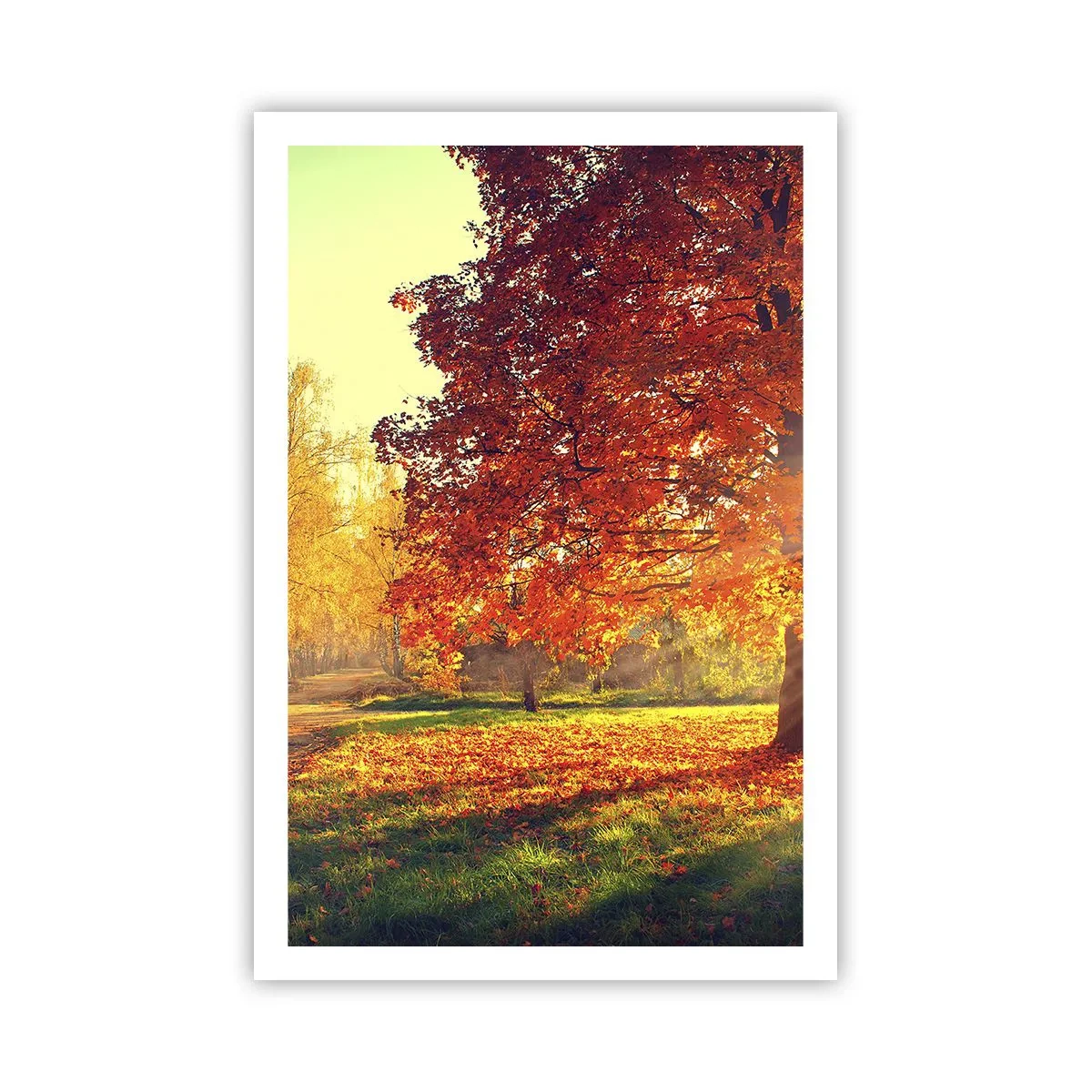 Póster - El rojo es hermoso - 61x91 cm