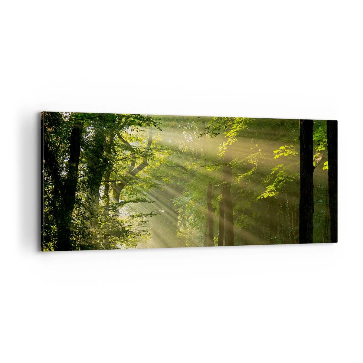 Cuadro sobre lienzo - Impresión de Imagen - Un momento en el bosque - 100x40 cm