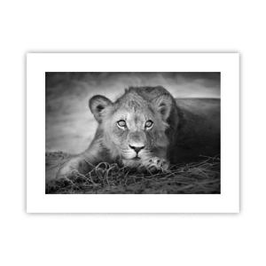 Póster - Un cachorro real - 40x30 cm