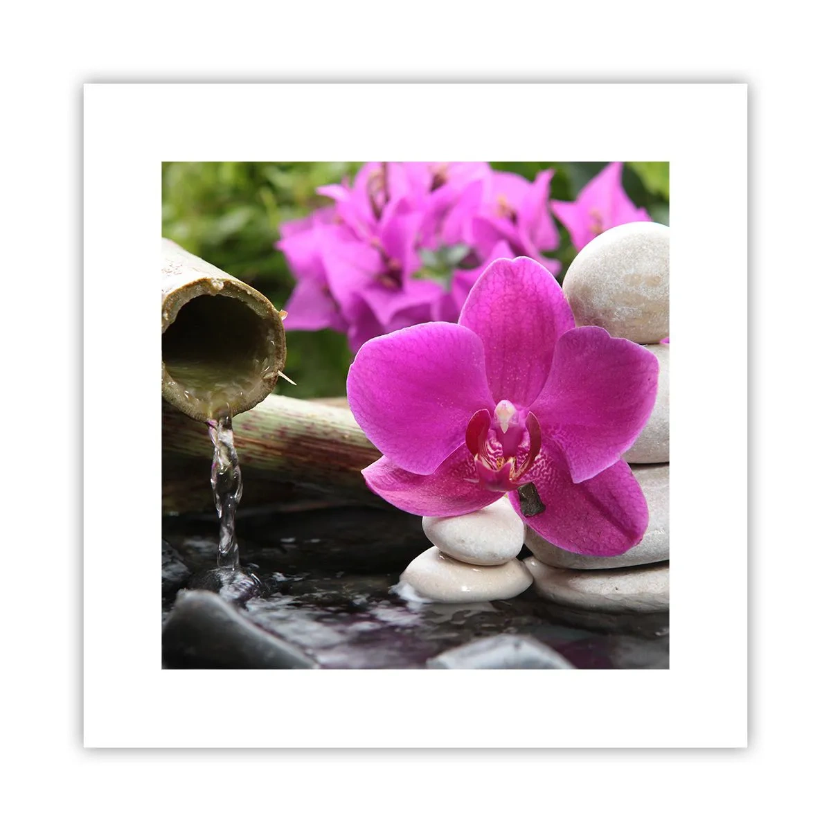 Póster - Ya estás descansando - 30x30 cm