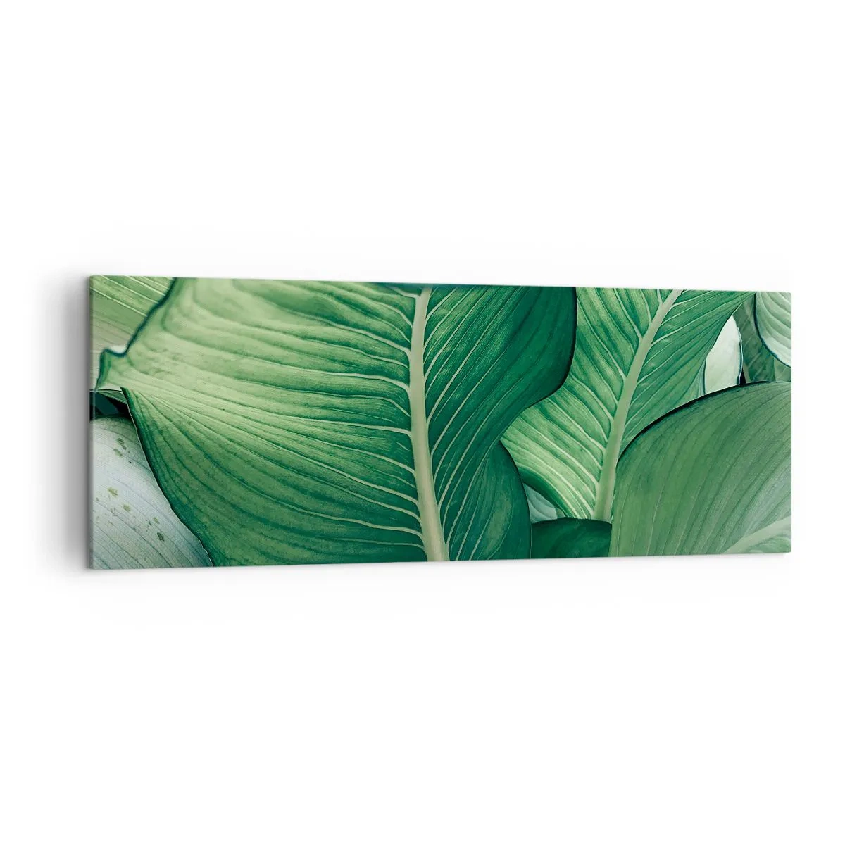 Cuadro sobre lienzo - Impresión de Imagen - Hojas verdes con detalles expresivos y estructura. - 140x50cm - Vida intensamente verde - Decoración de pared moderna para salón y dormitorio ARTTOR