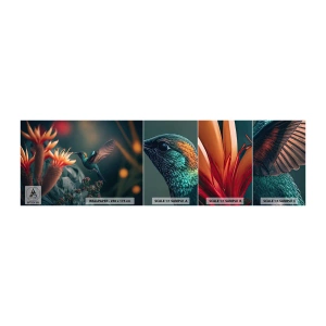 Muestra de fotomural autoadhesivo Deluxe Sticker - Una vida verdaderamente colorida - Pájaro, Exótico, Flor - 100x30 cm