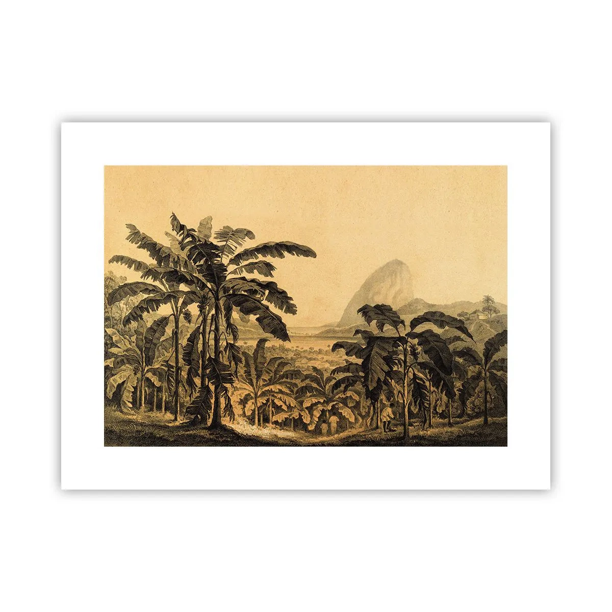 Póster - En un ambiente colonial - 40x30 cm