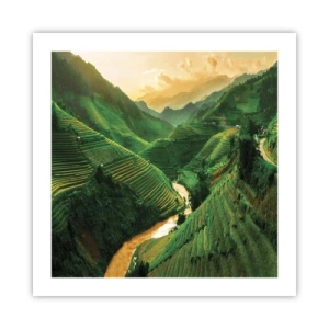 Póster - Valle vietnamita - 50x50 cm