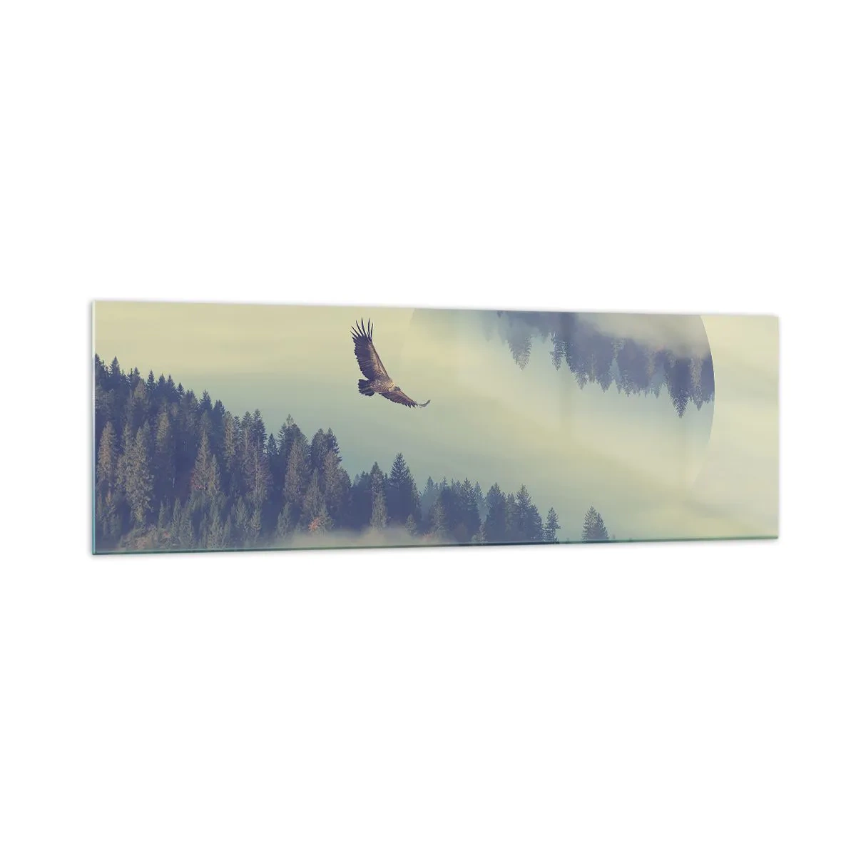 Cuadro sobre vidrio - Impresiones sobre Vidrio - Un águila en vuelo con un telón de fondo de montañas brumosas con un motivo circular artístico. - 160x50cm - Vi la sombra de un águila - Decoración de pared moderna para salón y dormitorio ARTTOR