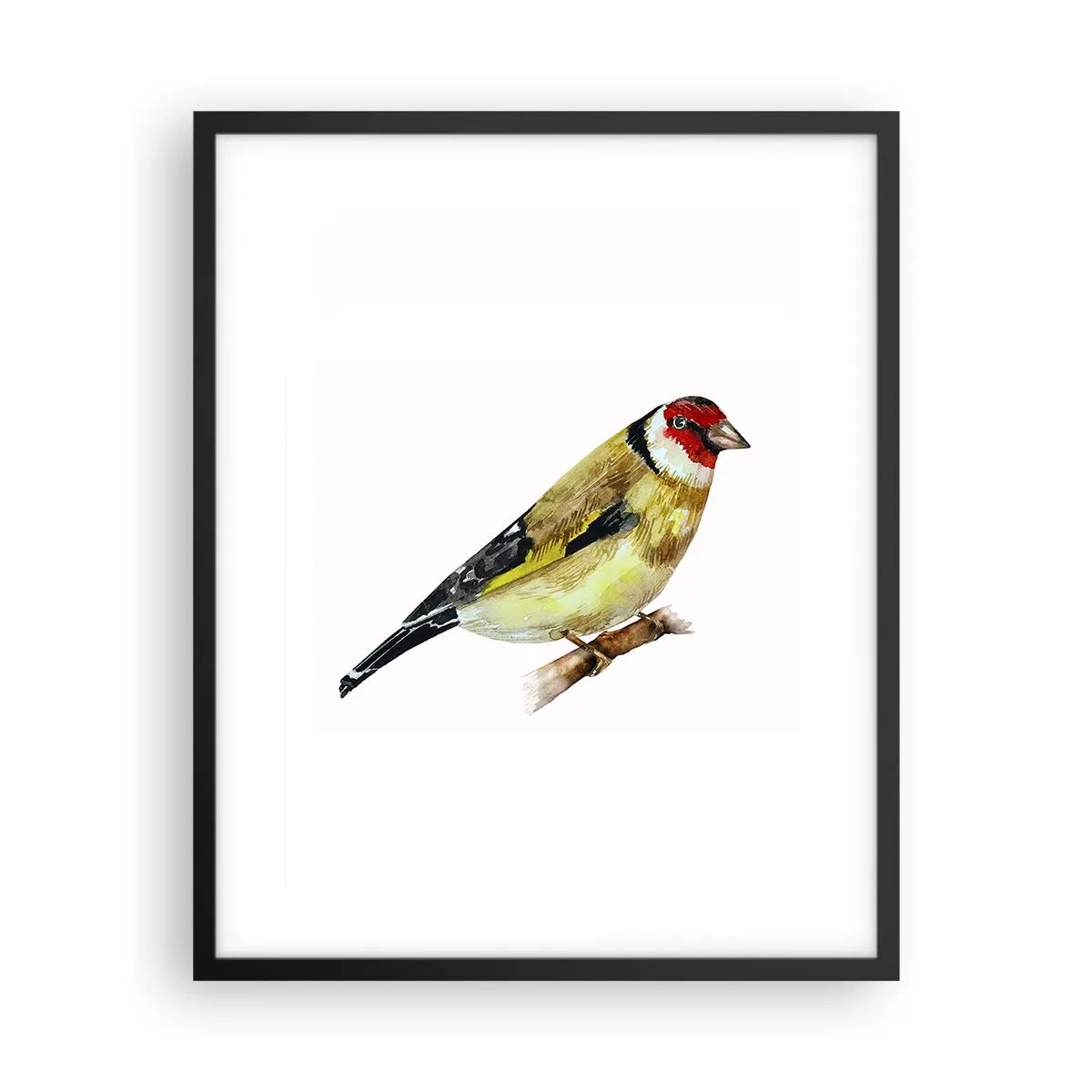 Póster en marco negro - Retrato de pájaro - 40x50 cm