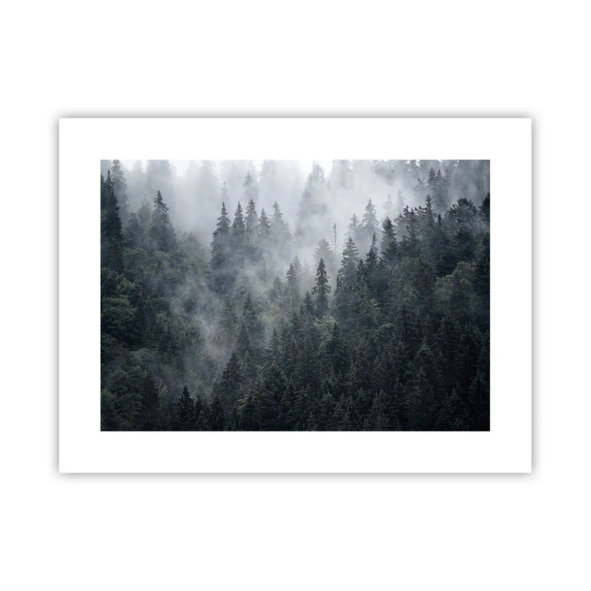 Póster - Amanecer en el bosque - 40x30 cm