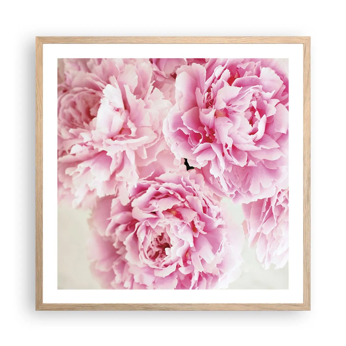 Póster en marco roble claro - En el esplendor del rosa - 60x60 cm
