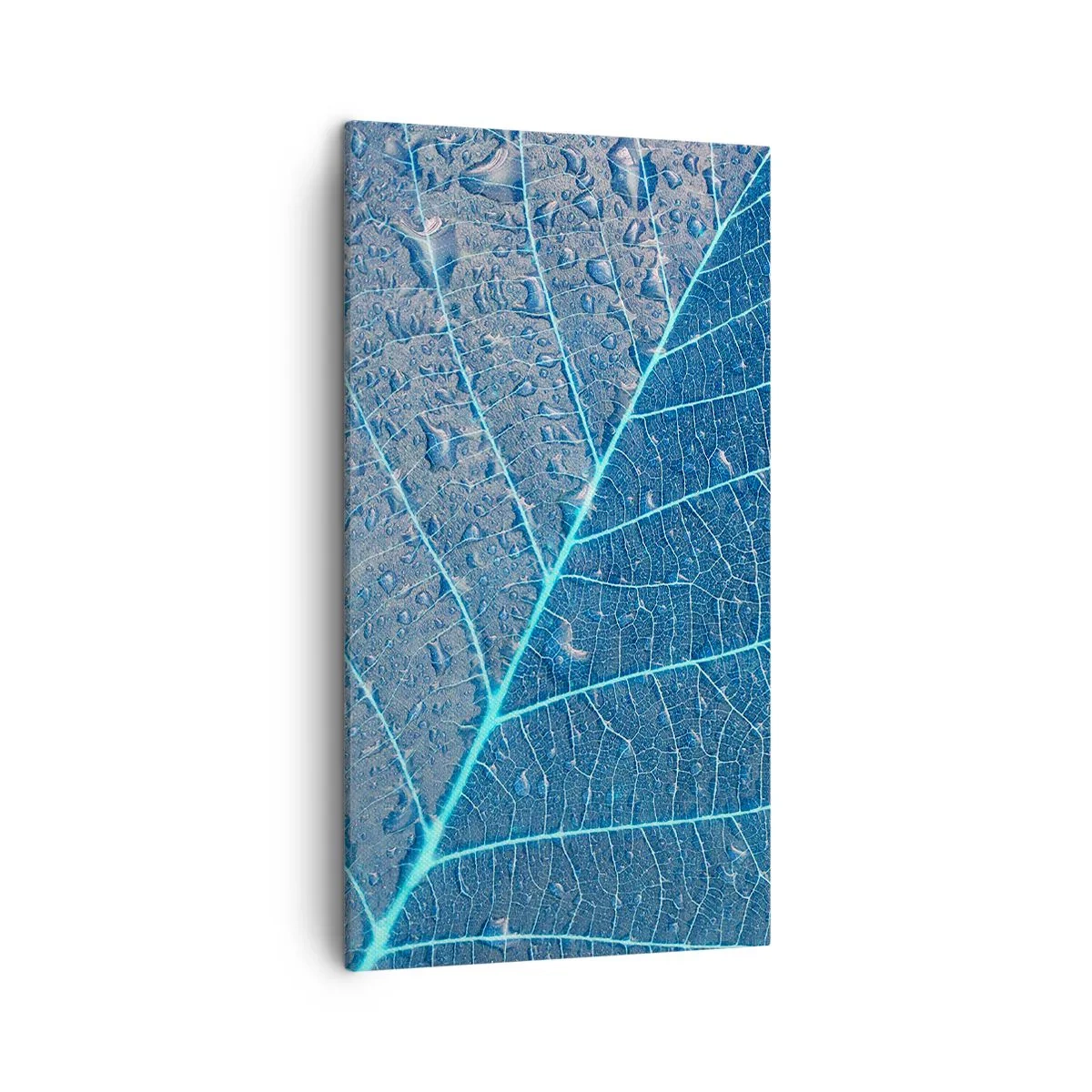 Cuadro sobre lienzo - Impresión de Imagen - Vida en el azul - 45x80 cm