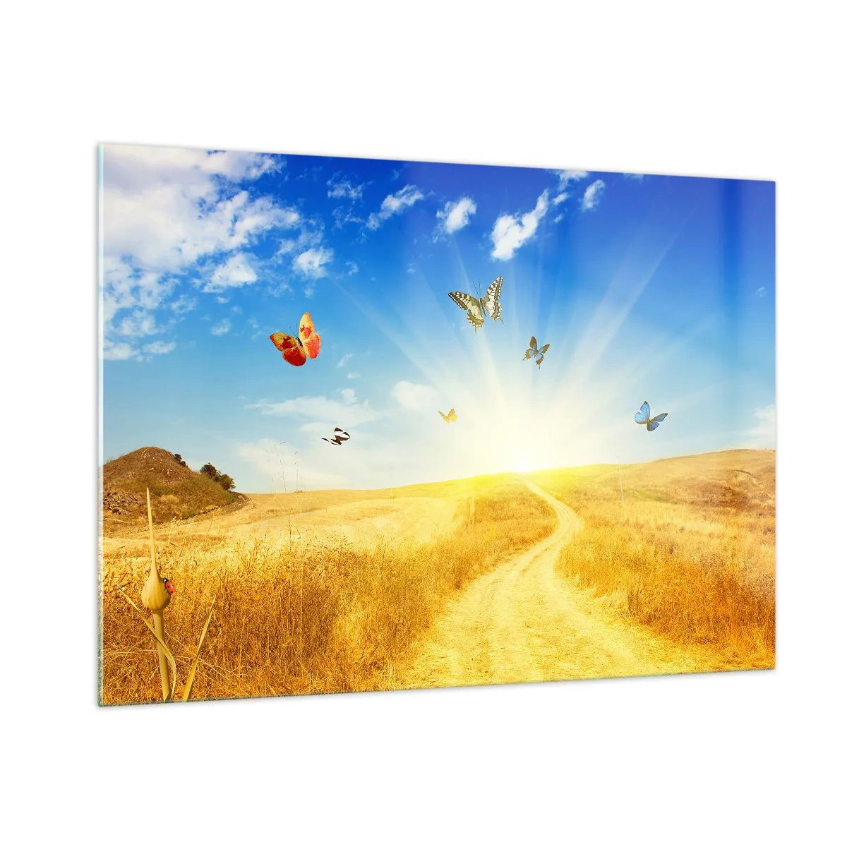 Cuadro sobre vidrio - Impresiones sobre Vidrio - Mariposas revoloteando sobre un camino de tierra al amanecer - 100x70cm - ¿Cómo no amar el verano? - Decoración de pared moderna para salón y dormitorio ARTTOR