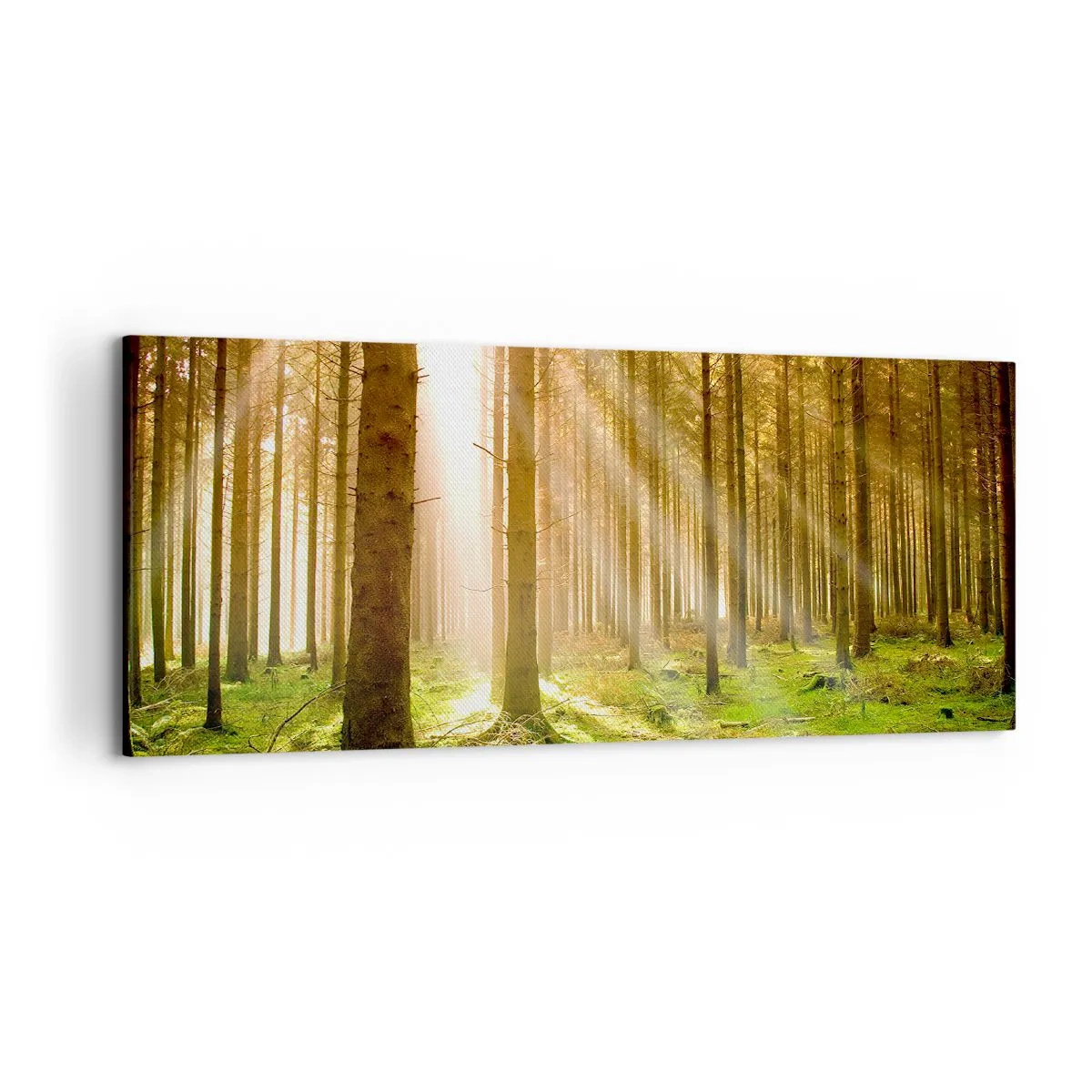 Cuadro sobre lienzo - Impresión de Imagen - Bosque de coníferas con rayos de sol brillando a través de los árboles. - 120x50cm - Los elfos se aproximan - Decoración de pared moderna para salón y dormitorio ARTTOR