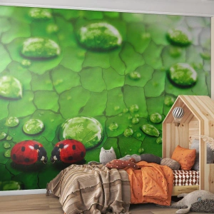 Fotomural Standard Eco - Reunión sobre verde - Naturaleza, Mariquita, Una gota de agua - 350x256 cm