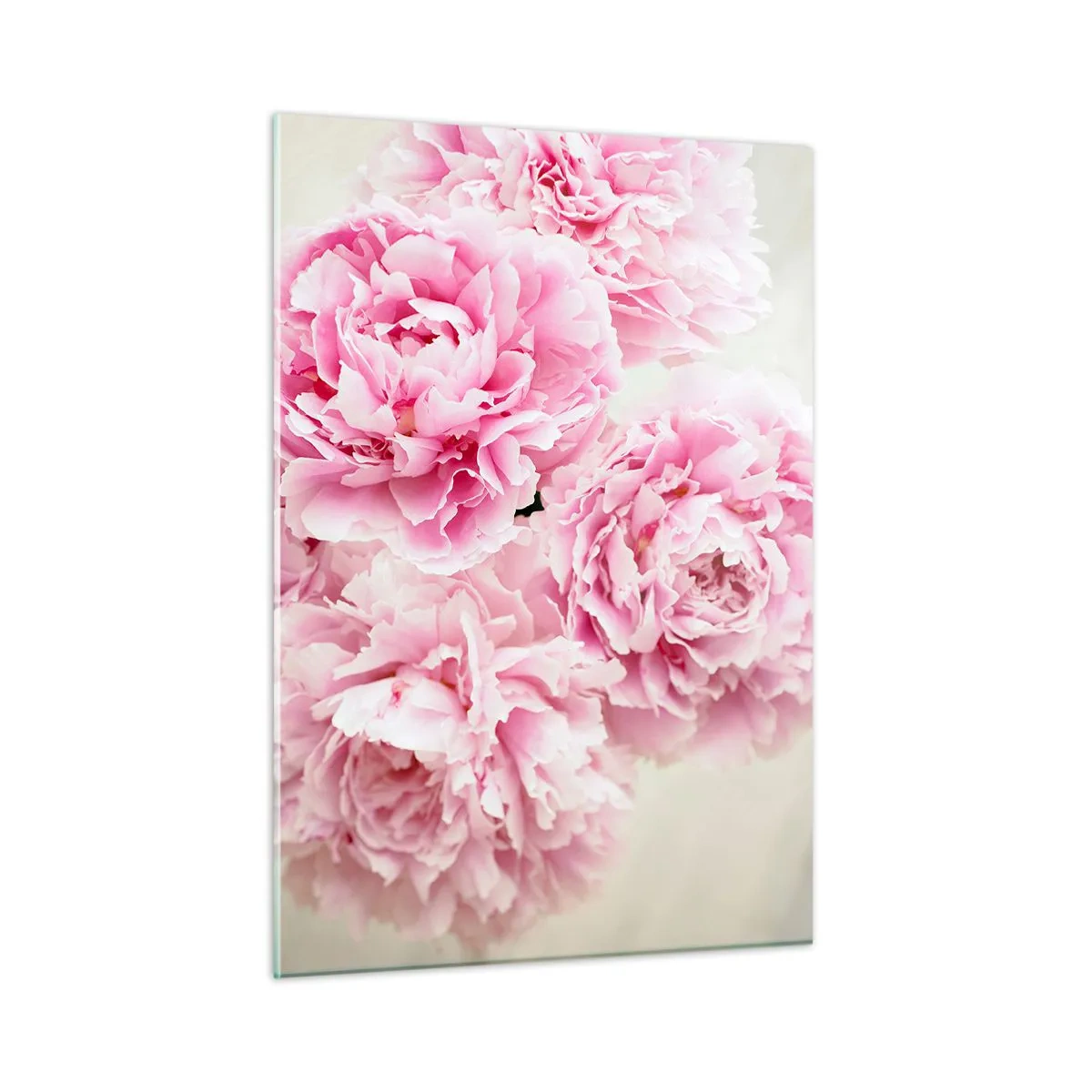 Cuadro sobre vidrio - Impresiones sobre Vidrio - Un ramo de peonías rosas sobre un fondo claro. - 50x70cm - En el esplendor del rosa - Decoración de pared moderna para salón y dormitorio ARTTOR