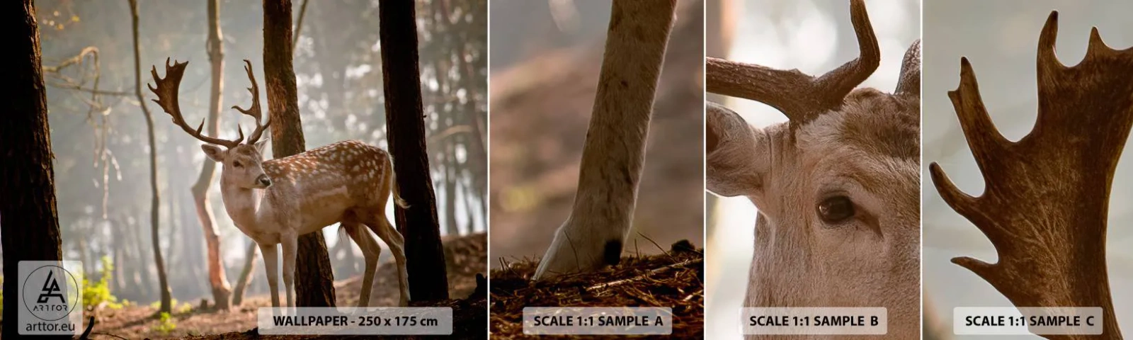 Muestra de fotomural autoadhesivo Deluxe Sticker - La luz de la juventud - animales, Ciervo, Bosque - 100x30 cm