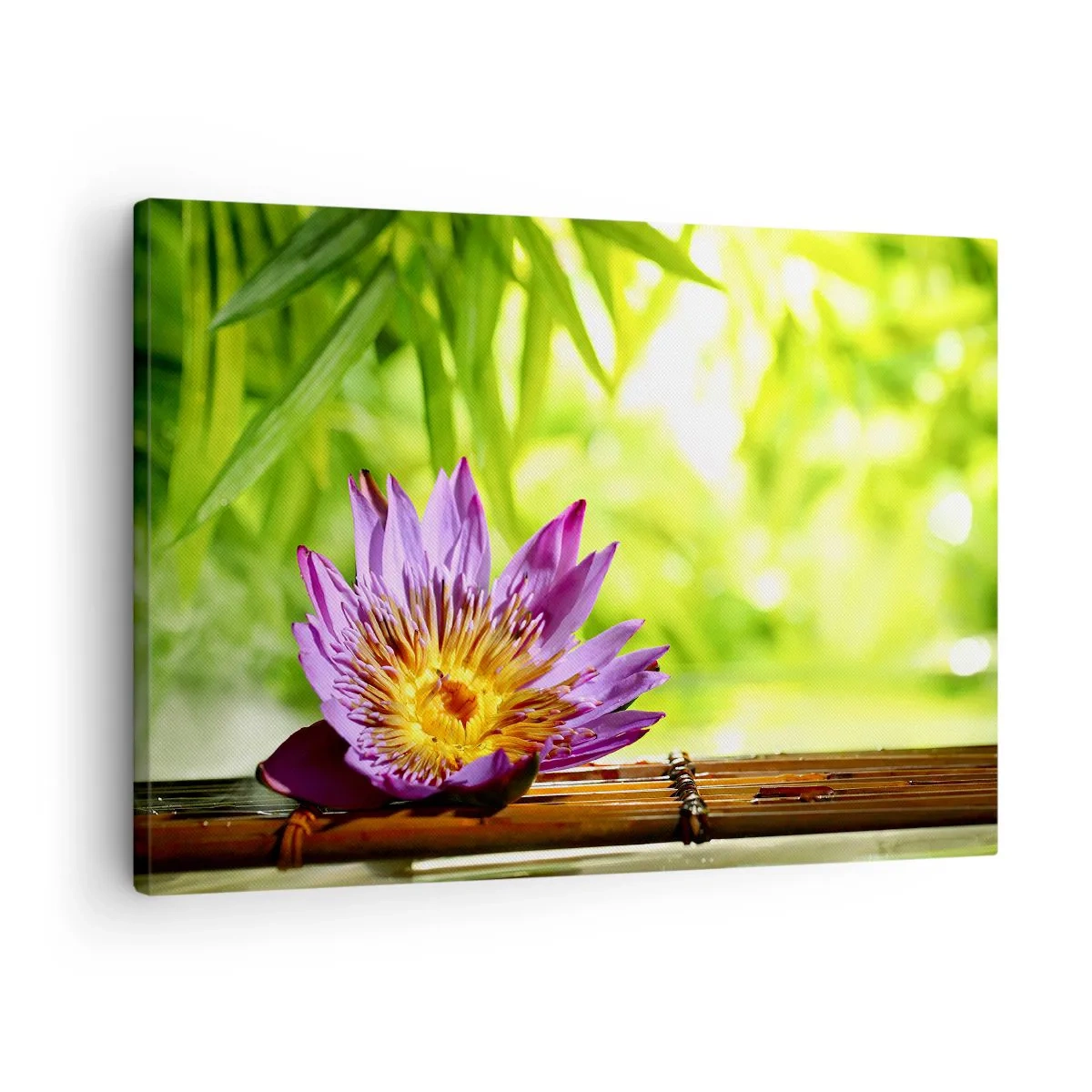 Cuadro sobre lienzo - Impresión de Imagen - Flor de loto púrpura sobre un fondo de hojas de bambú verdes. - 70x50cm - Bajo el sol de Asia - Decoración de pared moderna para salón y dormitorio ARTTOR