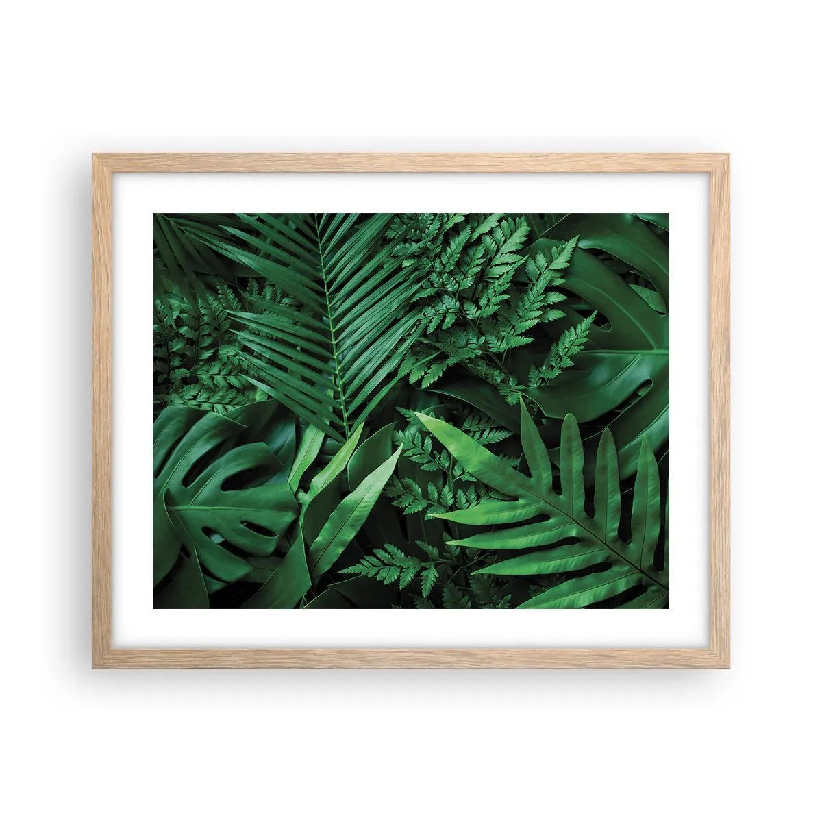 Póster en marco roble claro - Abrazo verde - 50x40 cm