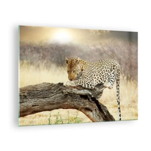 Cuadro sobre vidrio - Impresiones sobre Vidrio - Un leopardo descansando sobre una rama de madera. - 70x50cm - Voy por mi cuenta - Decoración de pared moderna para salón y dormitorio ARTTOR